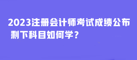 2023年注冊會計師考試成績公布 剩下科目如何學？