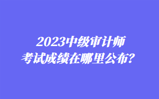 2023中級審計師考試成績在哪里公布？