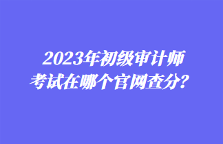 2023年初級(jí)審計(jì)師考試在哪個(gè)官網(wǎng)查分？