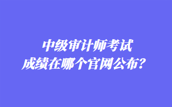 中級審計(jì)師考試成績在哪個官網(wǎng)公布？