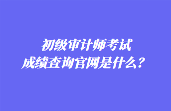 初級審計師考試成績查詢官網(wǎng)是什么？