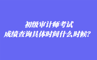 初級審計師考試成績查詢具體時間什么時候？