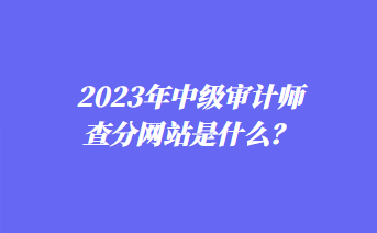 2023年中級審計師查分網(wǎng)站是什么？