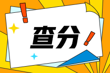 河南省2024年注會(huì)查分入口開啦！快來(lái)查分！