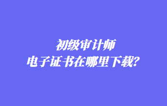 初級(jí)審計(jì)師電子證書在哪里下載？