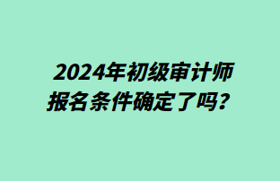 2024年初級審計師報名條件確定了嗎？