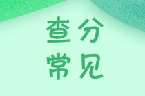 稅務(wù)師成績(jī)查詢常見(jiàn)問(wèn)題