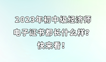 2023年初中級(jí)經(jīng)濟(jì)師電子證書(shū)都長(zhǎng)什么樣？快來(lái)看！