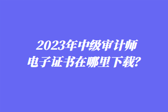 2023年中級審計師電子證書在哪里下載？