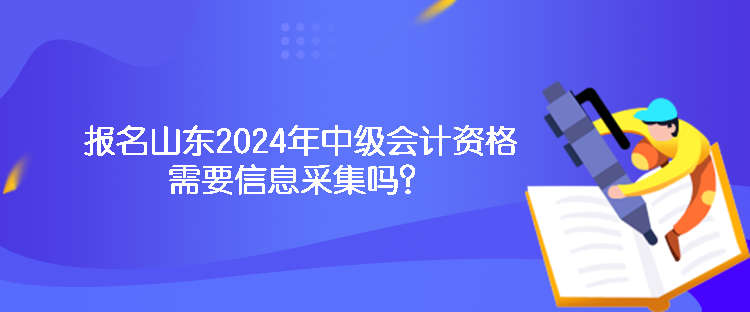 報(bào)名山東2024年中級(jí)會(huì)計(jì)資格需要信息采集嗎？