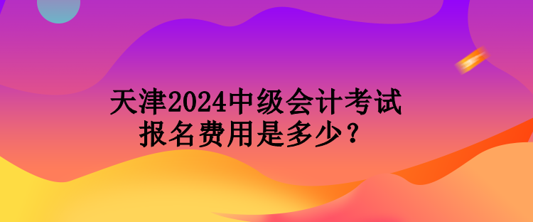 天津2024中級(jí)會(huì)計(jì)考試報(bào)名費(fèi)用是多少？