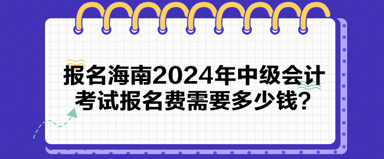 報(bào)名海南2024年中級(jí)會(huì)計(jì)考試報(bào)名費(fèi)需要多少錢？