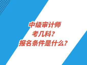 中級審計師考幾科？報名條件是什么？