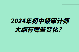 2024年初中級審計師大綱有哪些變化？