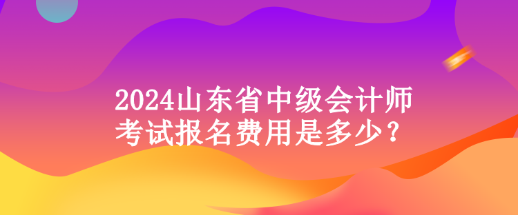 2024山東省中級(jí)會(huì)計(jì)師考試報(bào)名費(fèi)用是多少？