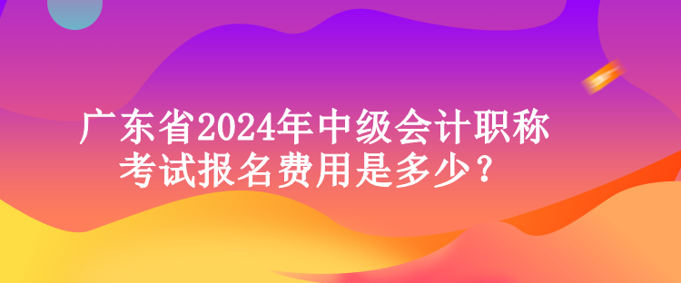 廣東省2024年中級(jí)會(huì)計(jì)職稱考試報(bào)名費(fèi)用是多少？