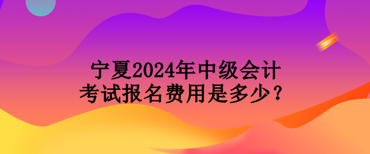 寧夏2024年中級(jí)會(huì)計(jì)考試報(bào)名費(fèi)用是多少？