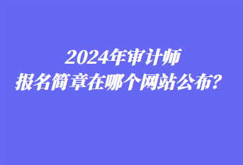 2024年審計師報名簡章在哪個網(wǎng)站公布？