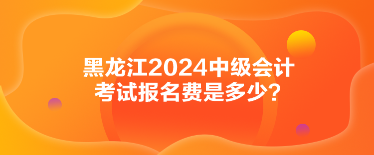 黑龍江2024中級(jí)會(huì)計(jì)考試報(bào)名費(fèi)是多少？