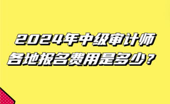 2024年中級審計(jì)師各地報(bào)名費(fèi)用是多少？