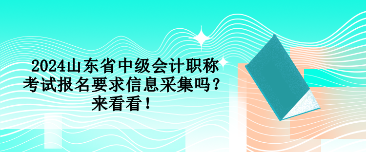 2024山東省中級(jí)會(huì)計(jì)職稱考試報(bào)名要求信息采集嗎？來(lái)看看！