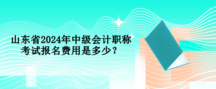 山東省2024年中級會計職稱考試報名費用是多少？