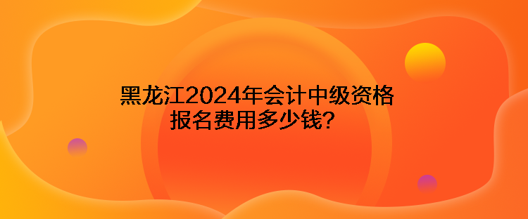 黑龍江2024年會(huì)計(jì)中級(jí)資格報(bào)名費(fèi)用多少錢？