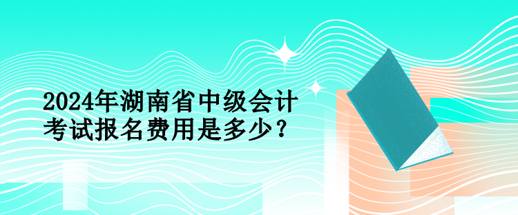 2024年湖南省中級會計考試報名費用是多少？