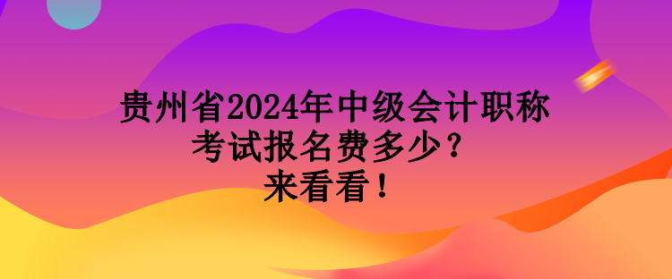 貴州省2024年中級(jí)會(huì)計(jì)職稱考試報(bào)名費(fèi)多少？來看看！