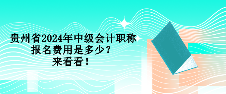 貴州省2024年中級(jí)會(huì)計(jì)職稱報(bào)名費(fèi)用是多少？來(lái)看看！