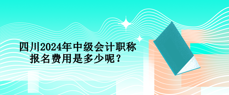 四川2024年中級(jí)會(huì)計(jì)職稱報(bào)名費(fèi)用是多少呢？