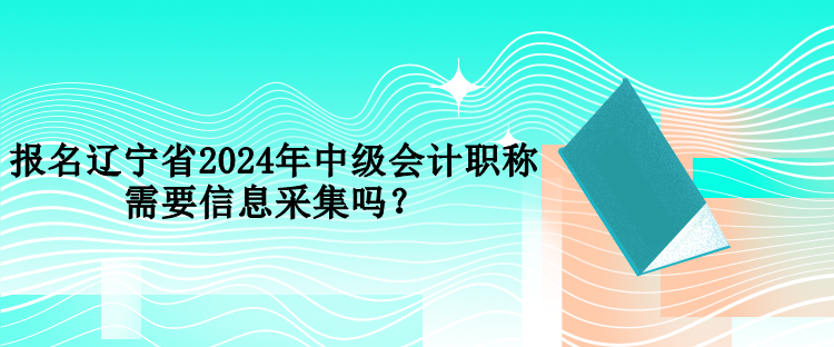 報(bào)名遼寧省2024年中級(jí)會(huì)計(jì)職稱需要信息采集嗎？