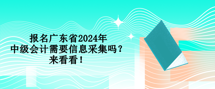 報(bào)名廣東省2024年中級(jí)會(huì)計(jì)需要信息采集嗎？來(lái)看看！