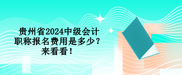 貴州省2024中級會計職稱報名費用是多少？來看看！