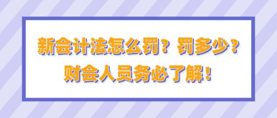 新會(huì)計(jì)法怎么罰？罰多少？財(cái)會(huì)人員務(wù)必了解！