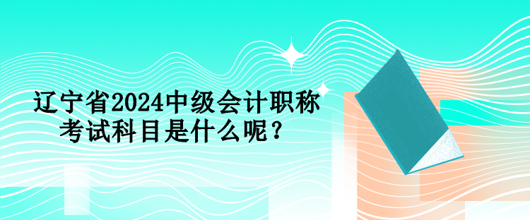 遼寧省2024中級(jí)會(huì)計(jì)職稱考試科目是什么呢？