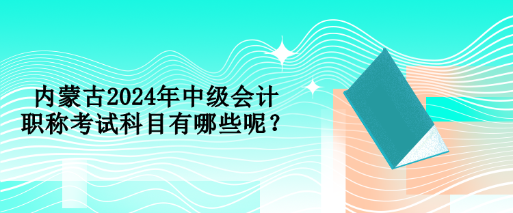 內(nèi)蒙古2024年中級(jí)會(huì)計(jì)職稱考試科目有哪些呢？