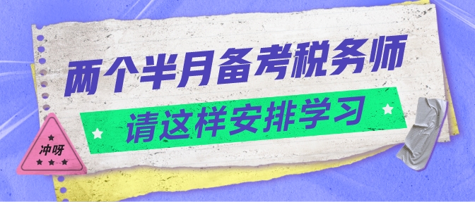 兩個半月備考稅務(wù)師請這樣安排學習