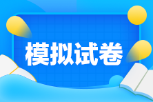 2024年稅務(wù)師《涉稅服務(wù)實(shí)務(wù)》考前沖刺試卷