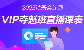 2025年注冊會計師VIP奪魁班直播課表安排