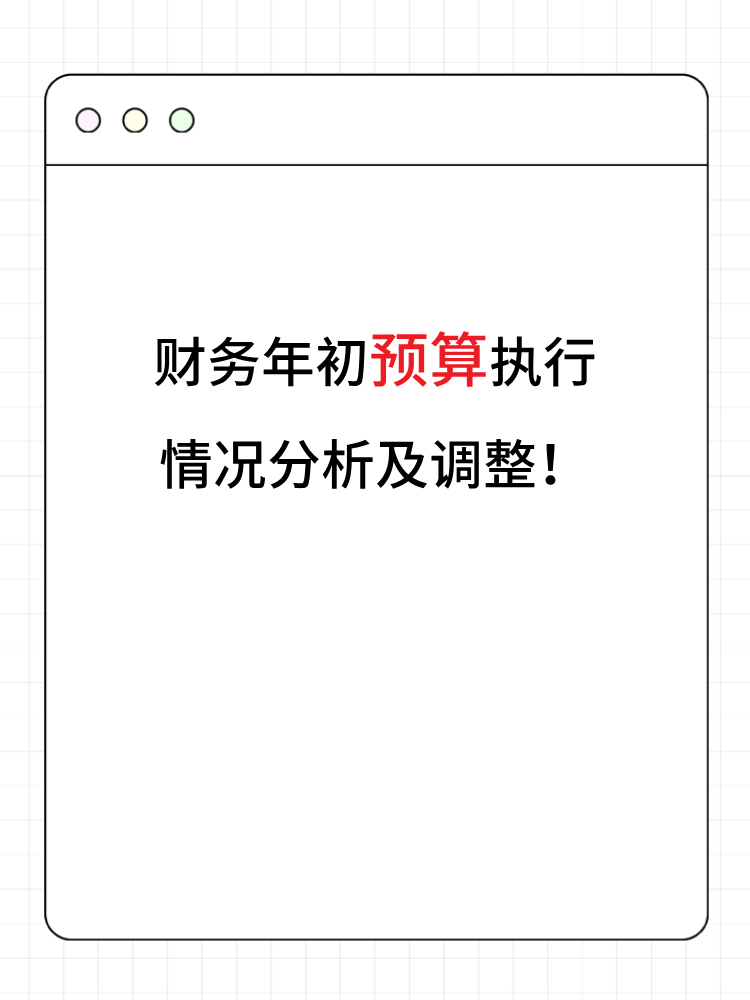 財務(wù)年初預(yù)算執(zhí)行情況分析及調(diào)整！